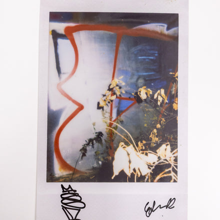EDWIN DE LA ROSA ENLARGED POLAROID #16