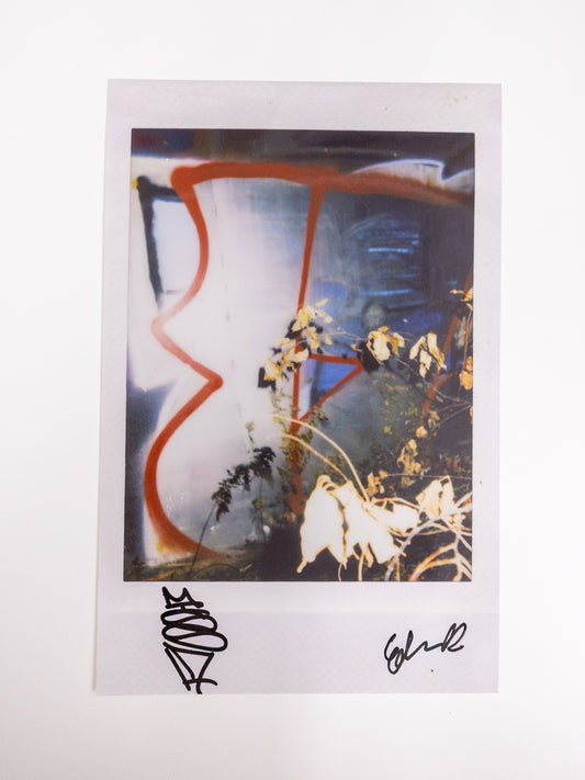 EDWIN DE LA ROSA ENLARGED POLAROID #16