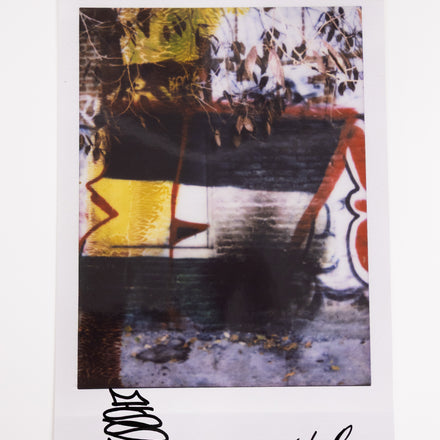 EDWIN DE LA ROSA ENLARGED POLAROID #10