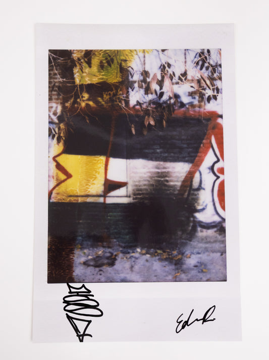 EDWIN DE LA ROSA ENLARGED POLAROID #10